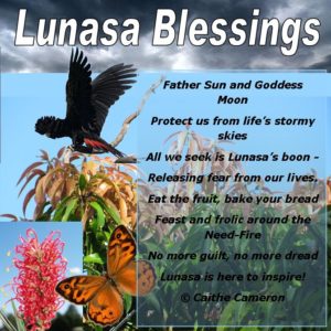 Lunasa Blessings