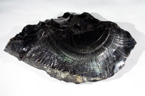 Shungite