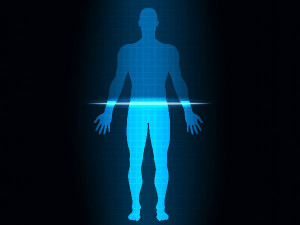 01-1441103185-bodyscan